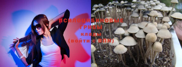 спайс Алзамай