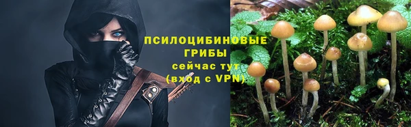 прущая мука Алексеевка