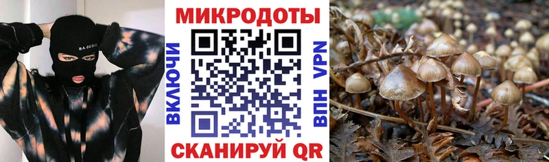 Псилоцибиновые грибы Magic Shrooms  Купить закладки  Фатеж 